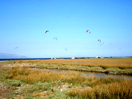 oropos, attika, greece