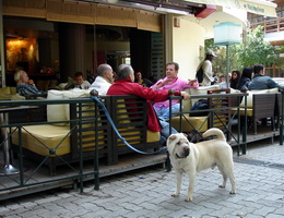foivos cafe, fokionos negri