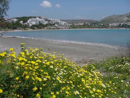 Athens, Greece: Vouliageni Beach